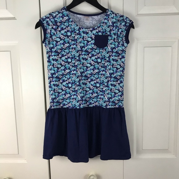 Gymboree Other - Gymboree Blue Floral Dress Drop Waist Size 10